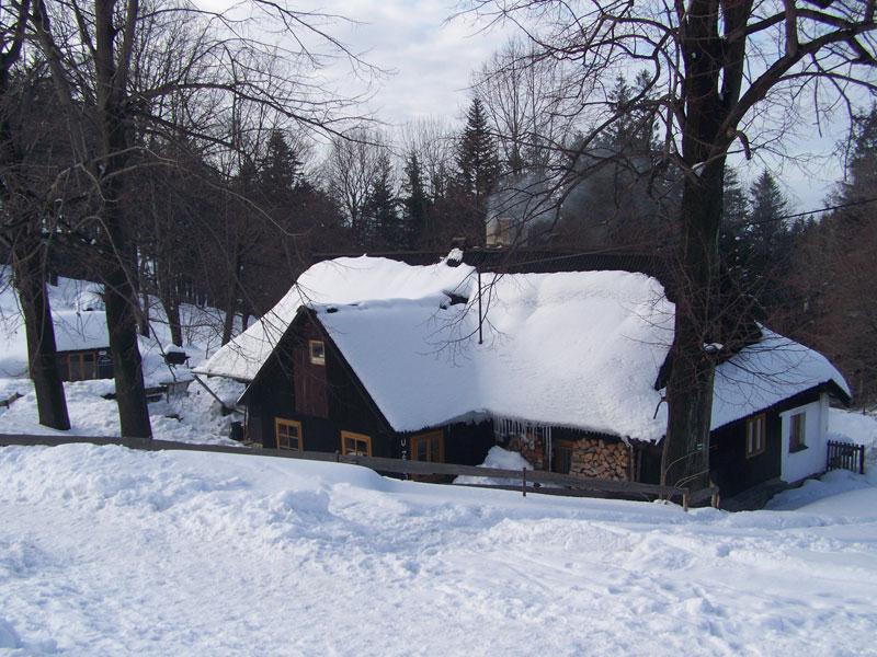 DŘEVJANKA U ZBUJA NA OSTRAVICI