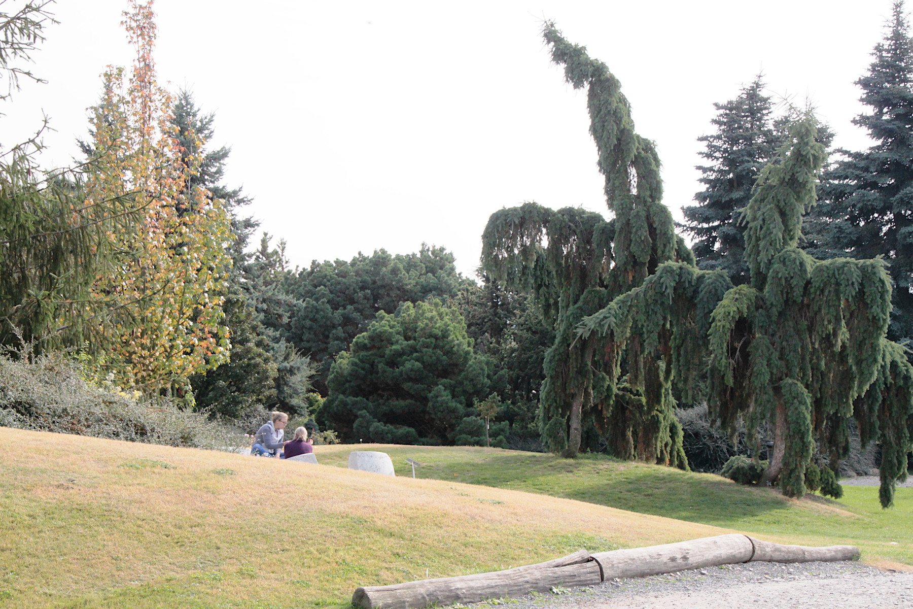 BOTANICK ZAHRADA - PRAHA TROJA