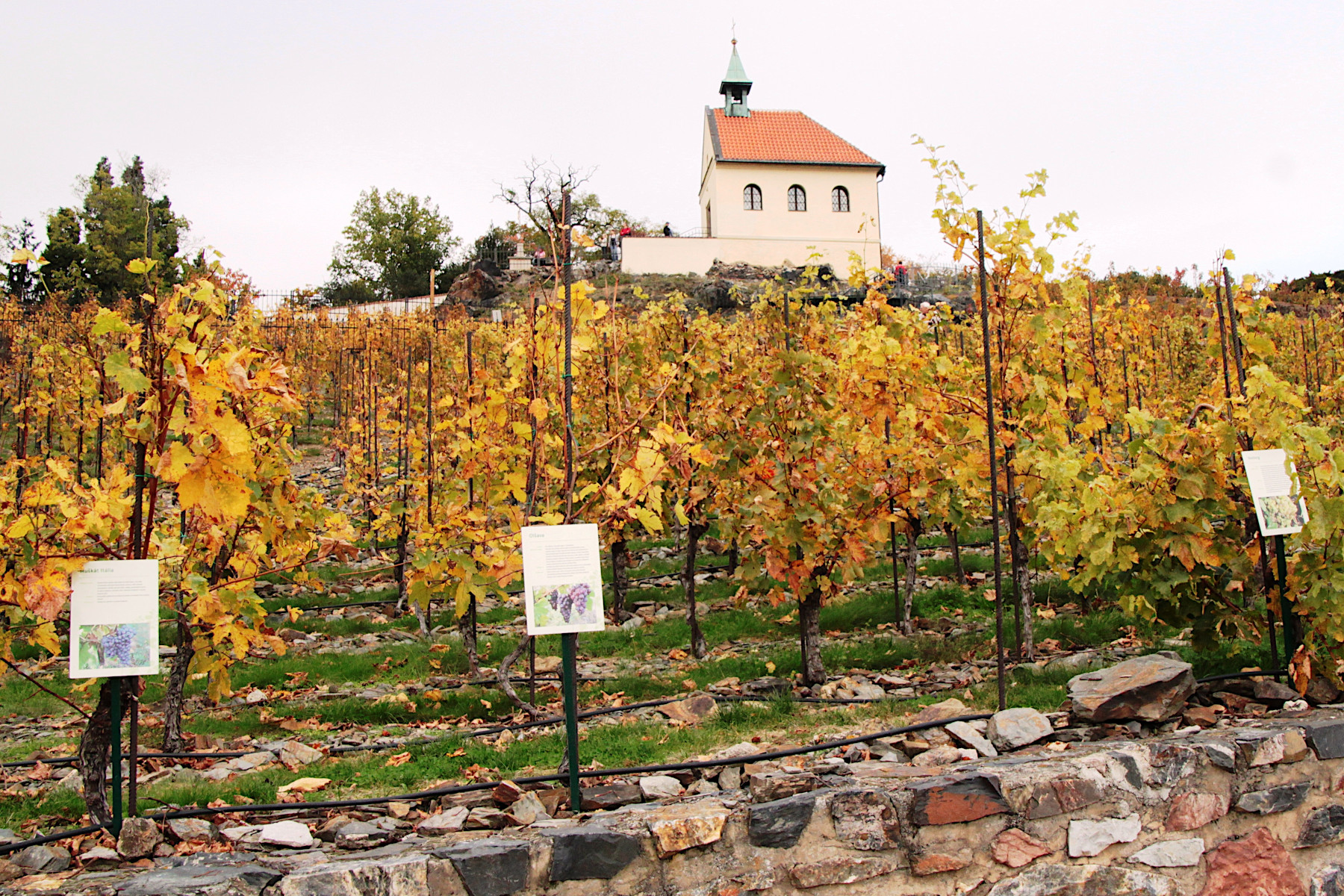 BOTANICKÁ ZAHRADA - PRAHA TROJA