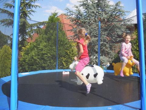 Trampolína