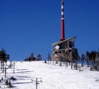 SKI LYS HORA