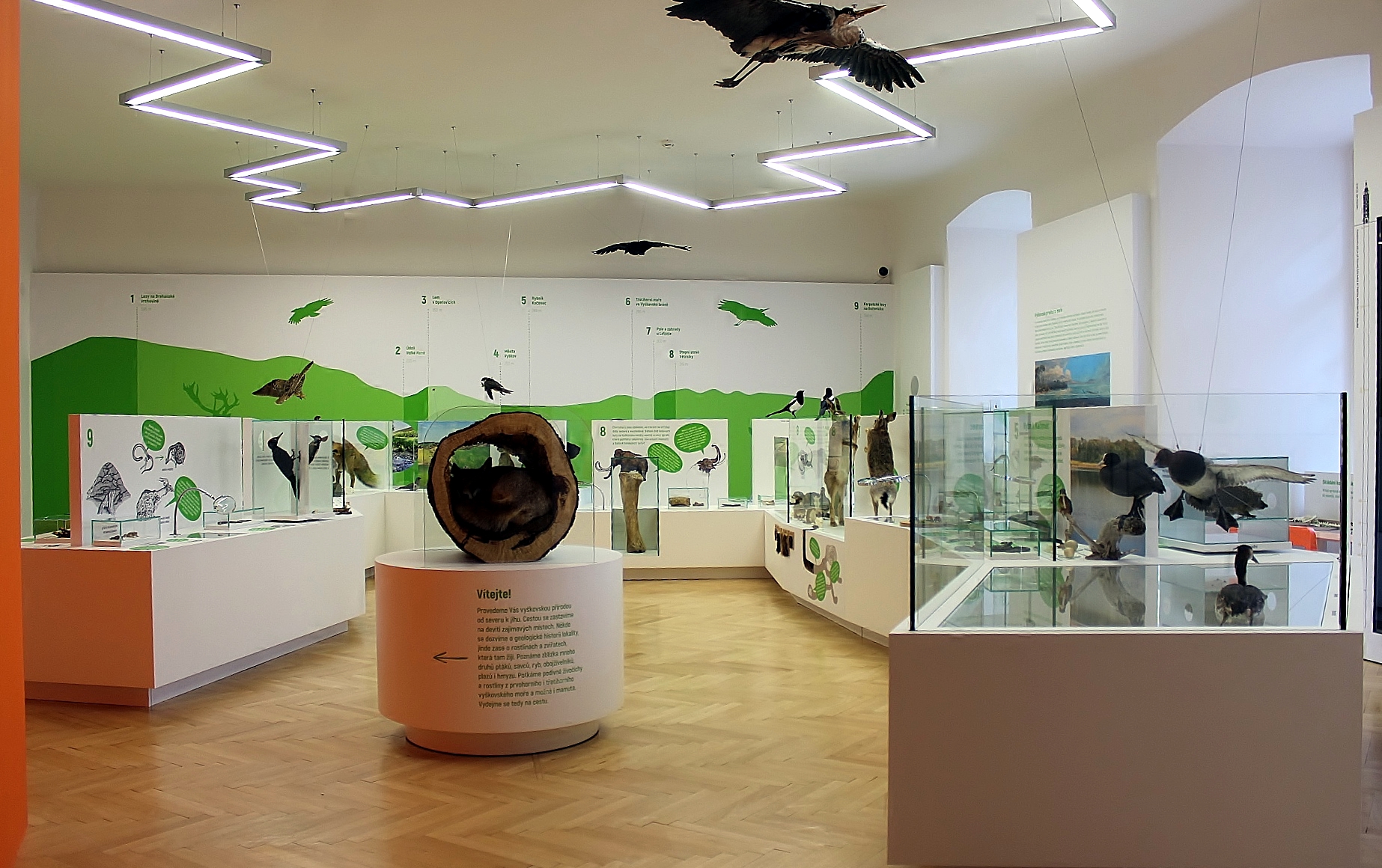 MUZEUM VYŠKOVSKA